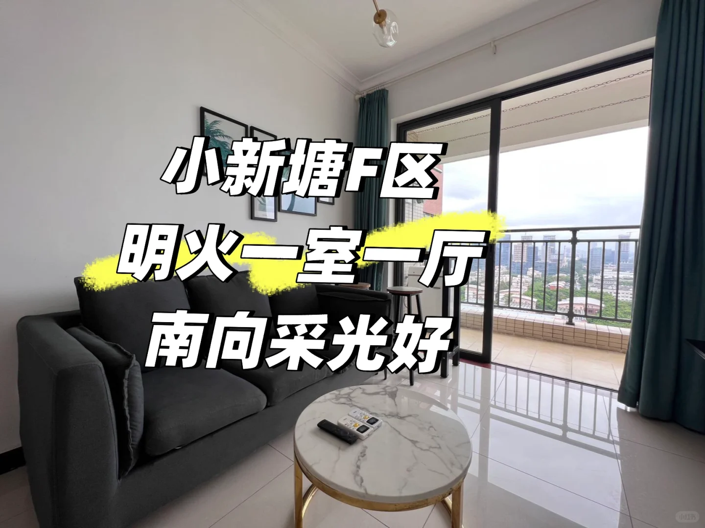 小新塘回迁房F区 一房一厅 能养宠物