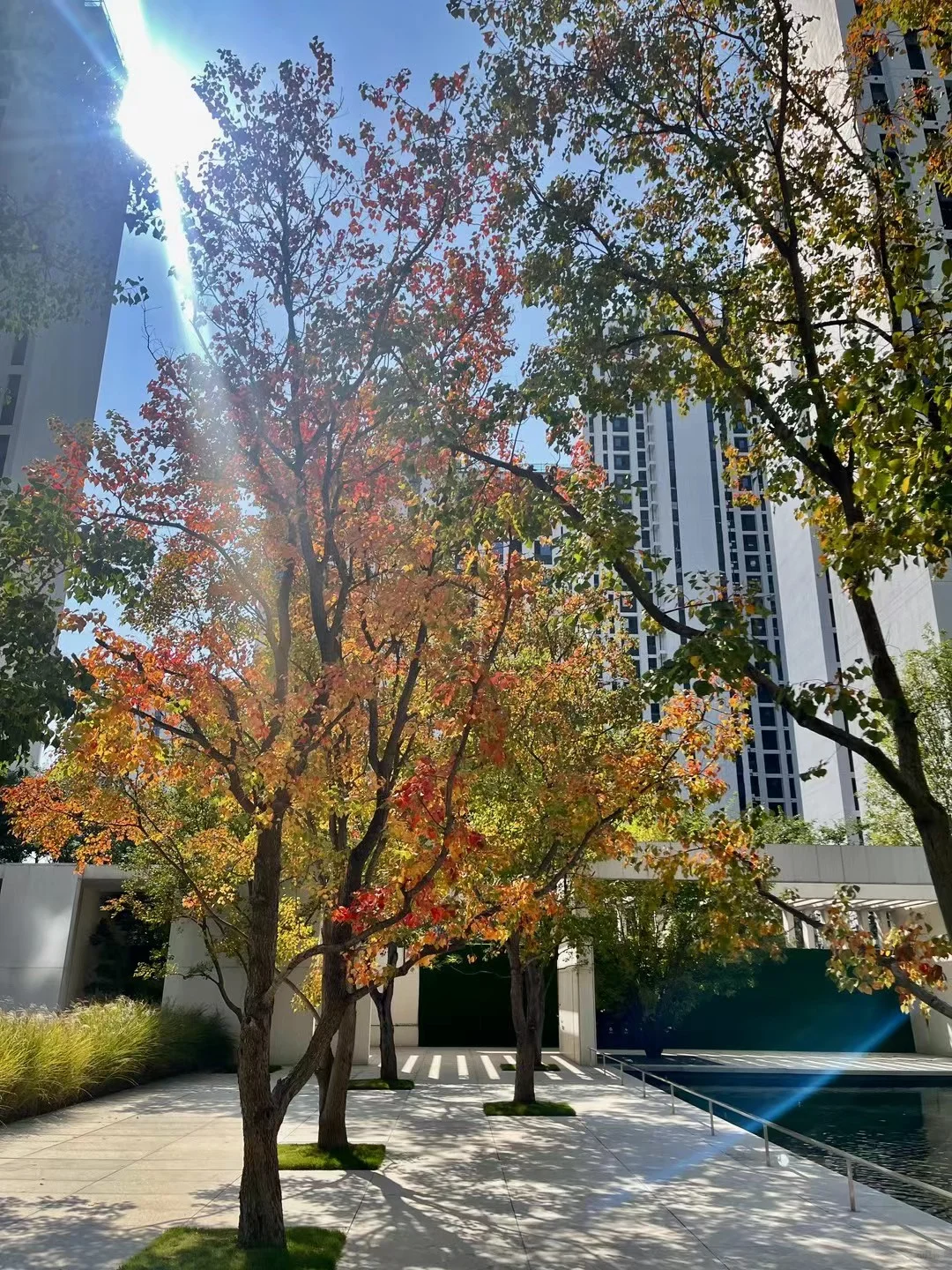 看房故事｜鱼化寨丨1.2万/㎡准现房 地铁口