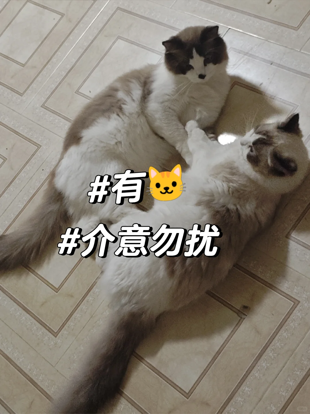 急寻室友 弘阳广场附近 直接拎包入住