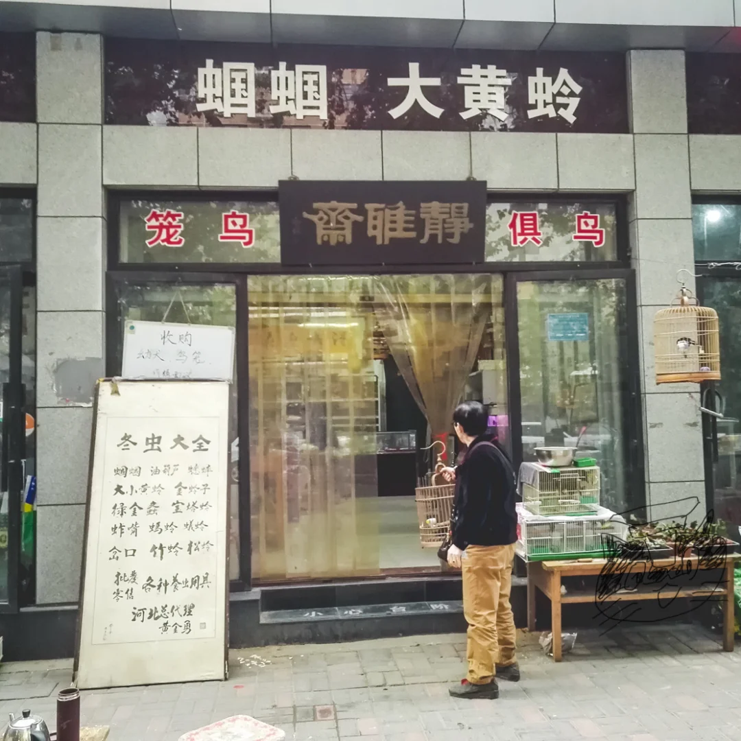 整理一组石家庄旧照，都能认得是哪里吗？