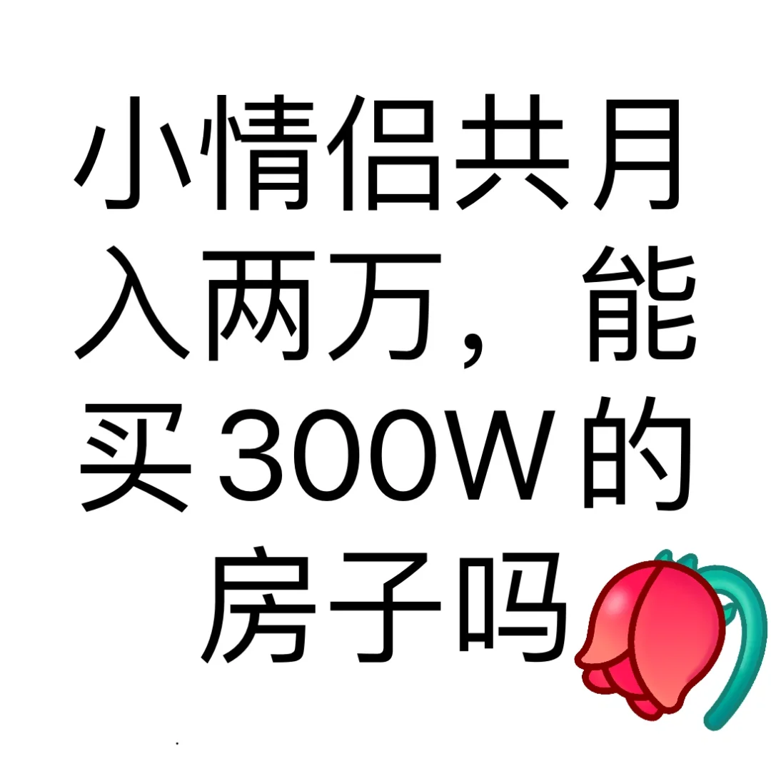 他家出首付100W，我们自己组合贷200W，30年