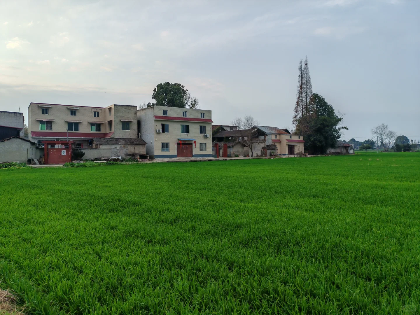 农村房地一体宅基地确权发证作用解析