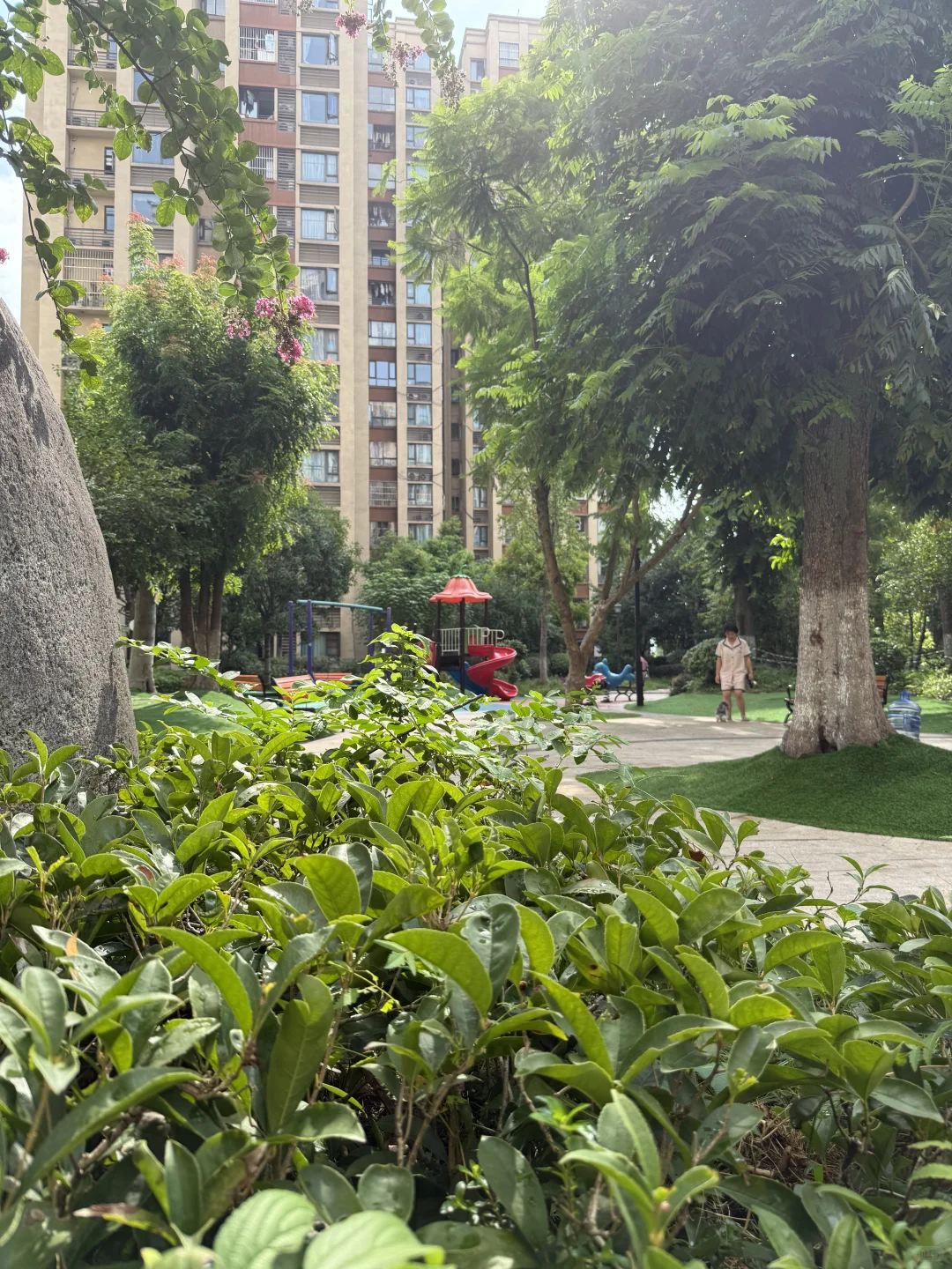 大学城！精装修两房只要40万🏡带沙小🎒