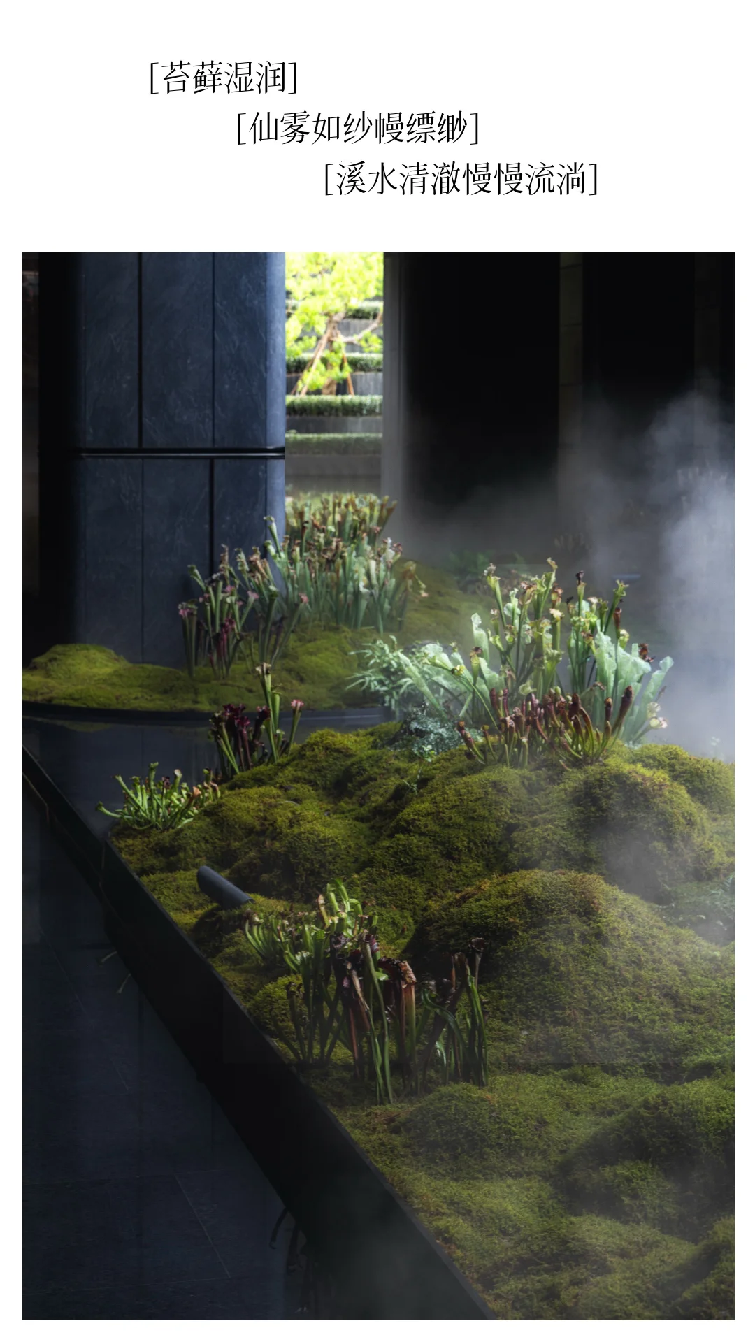 成都｜华润·华宸府景观拍摄（植物专篇）