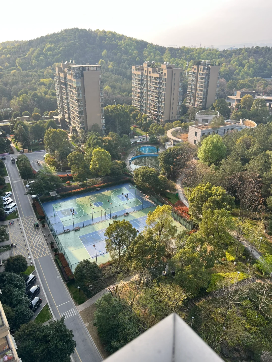 毛胚的家🏠
