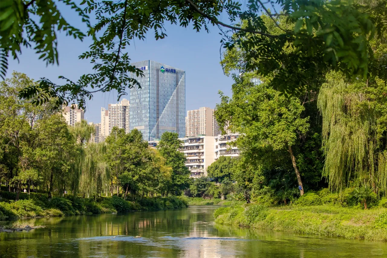 一扇窗景实现了我理想中的生活🏠