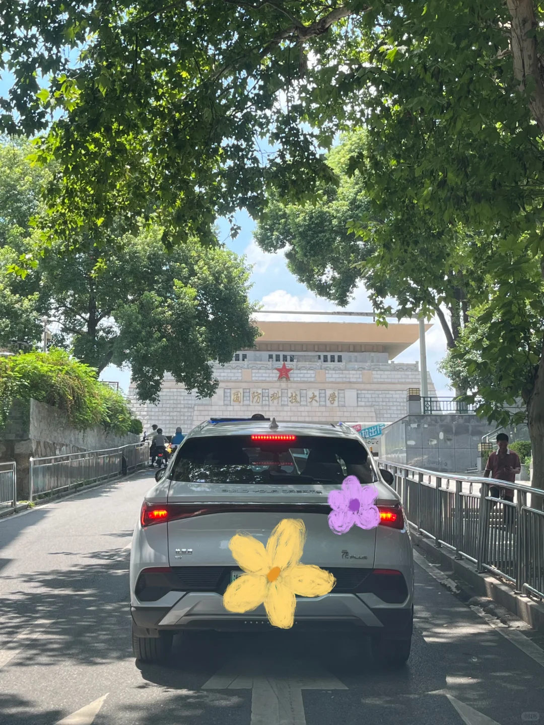 关于我19Ｗ在长沙买到了树景房
