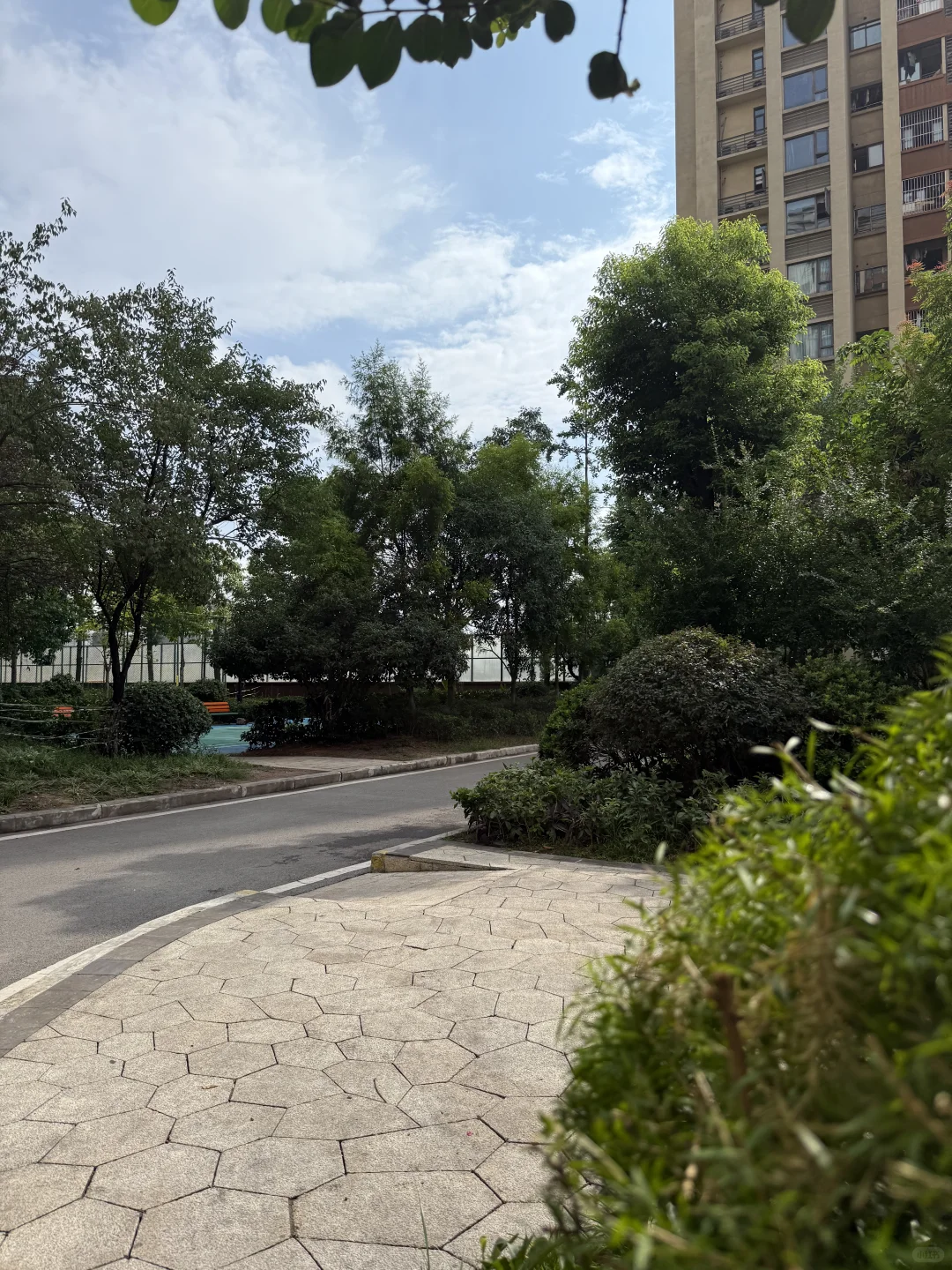 大学城！精装修两房只要40万🏡带沙小🎒
