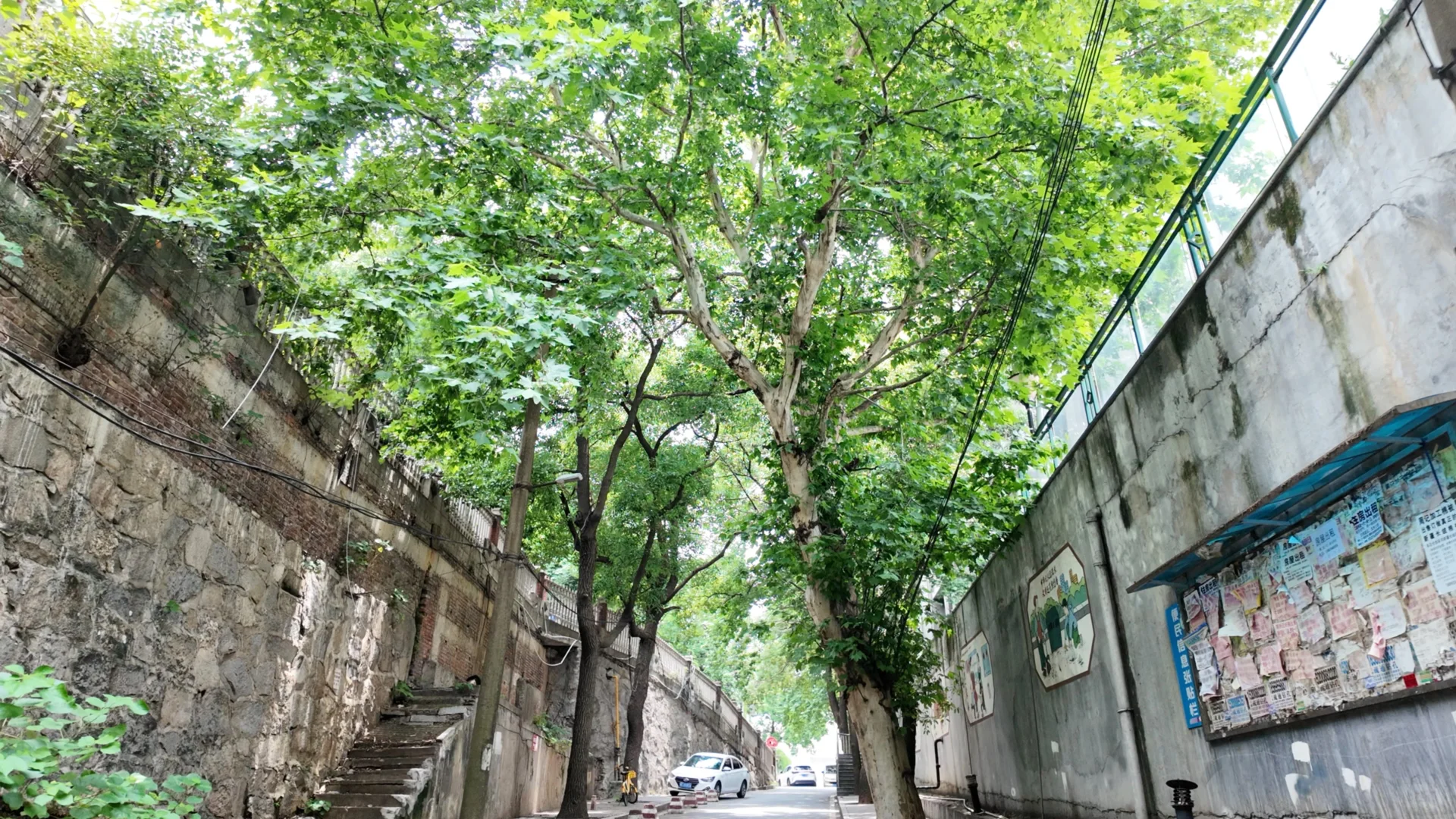 关于我19Ｗ在长沙买到了树景房