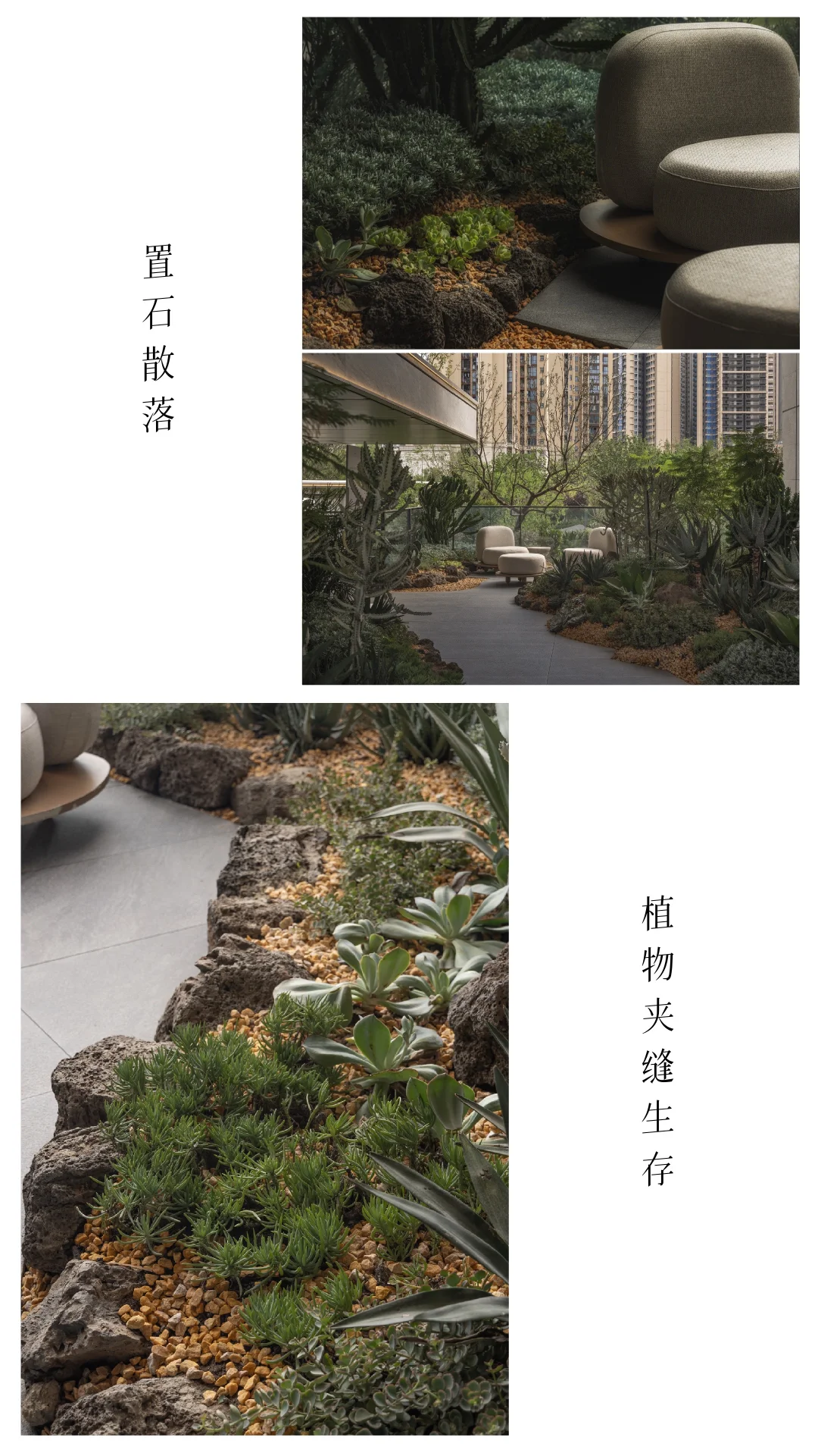 成都｜华润·华宸府景观拍摄（植物专篇）