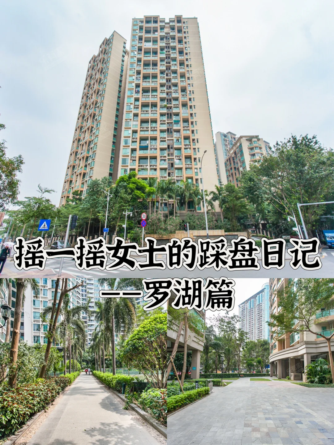 摇一摇女士的深圳踩盘日记之罗湖篇