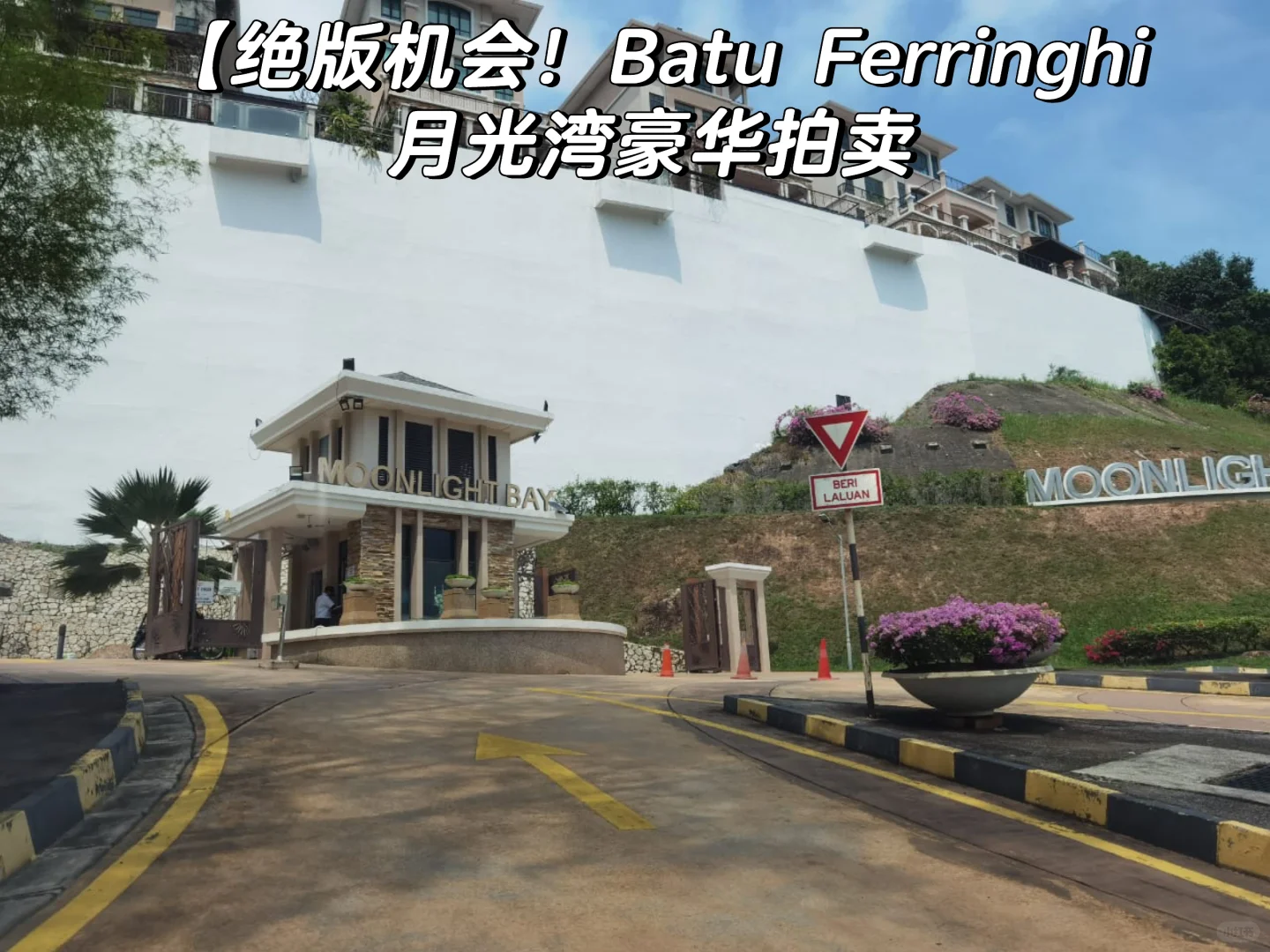 🔥【绝版机会！Batu Ferringhi 拍卖】