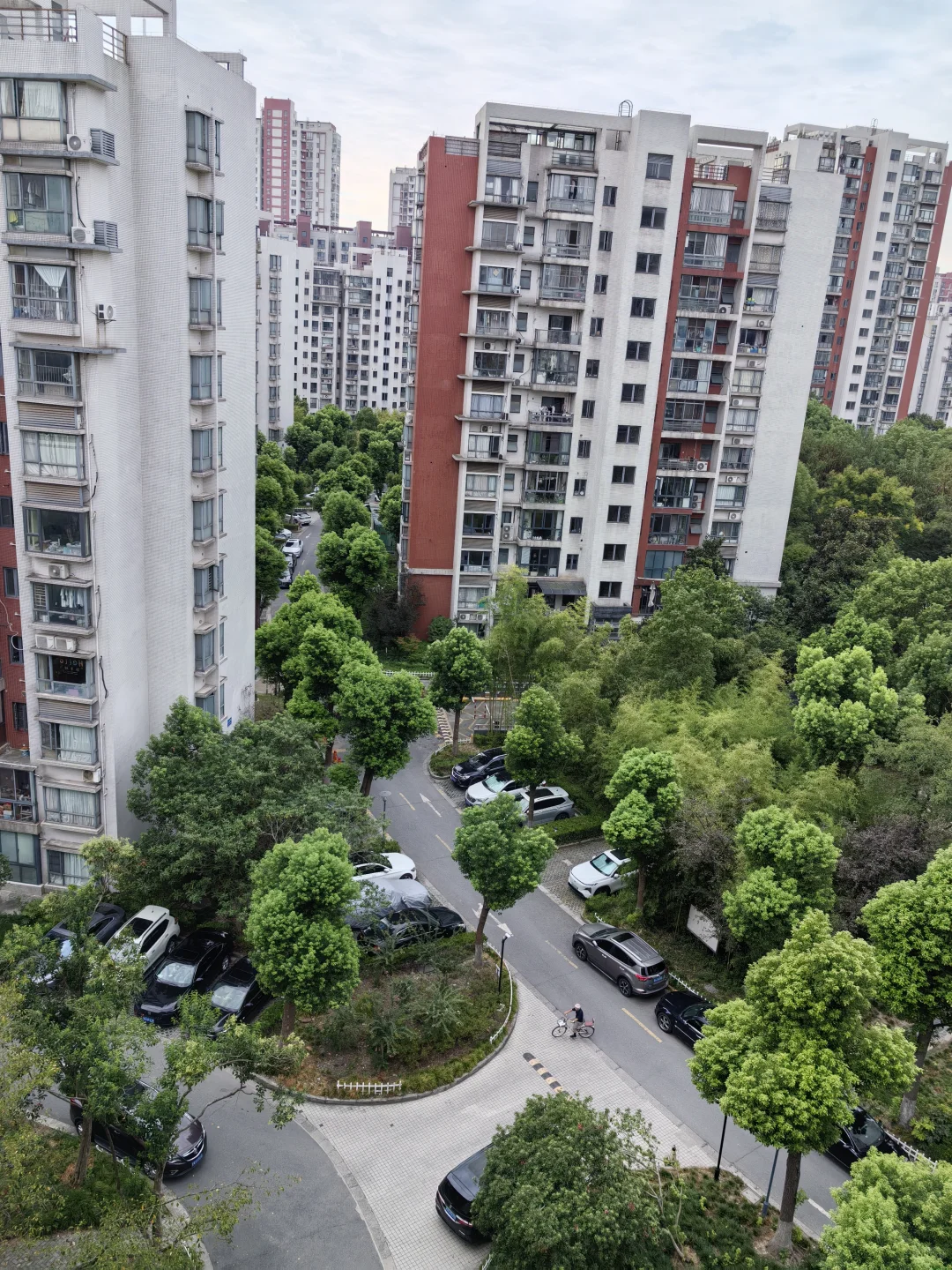 这个小区真的好好啊！🌳💚