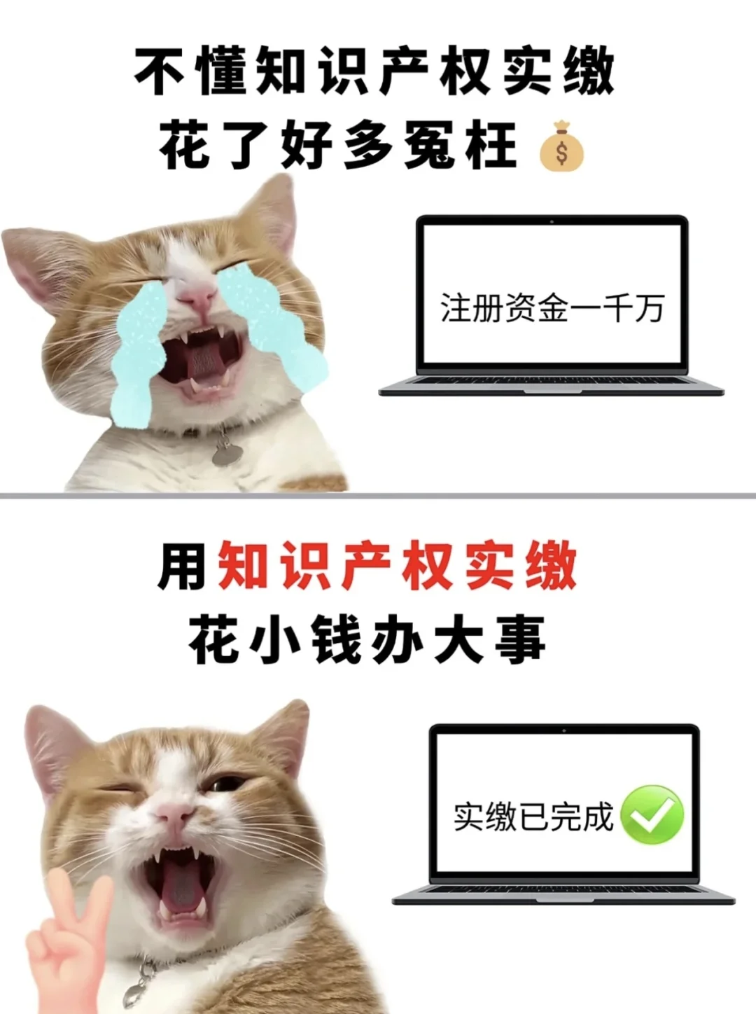 知识产权百分百实缴！！