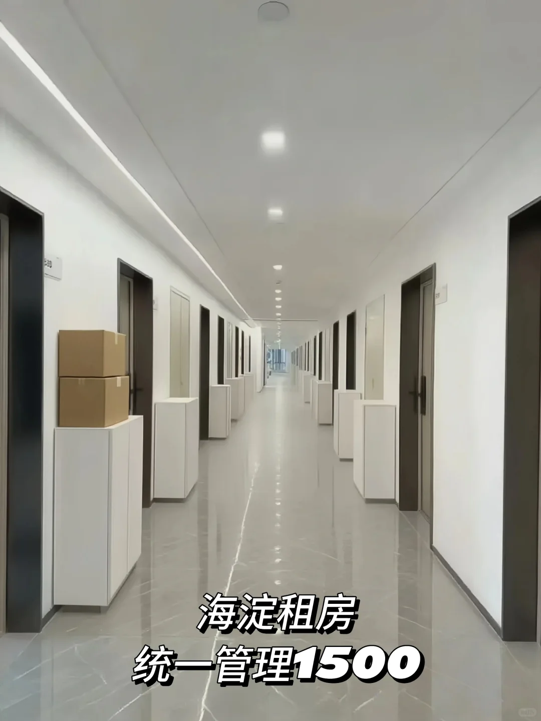 海淀租房|独栋公寓 整租一居室 独卫 1500