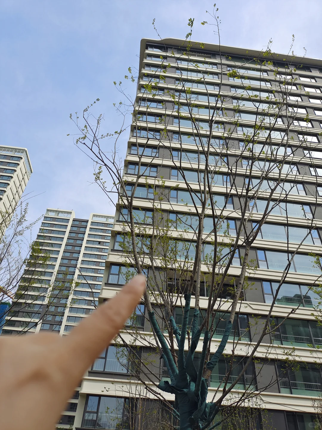 石家庄！！大平层，趁交房前实景看看
