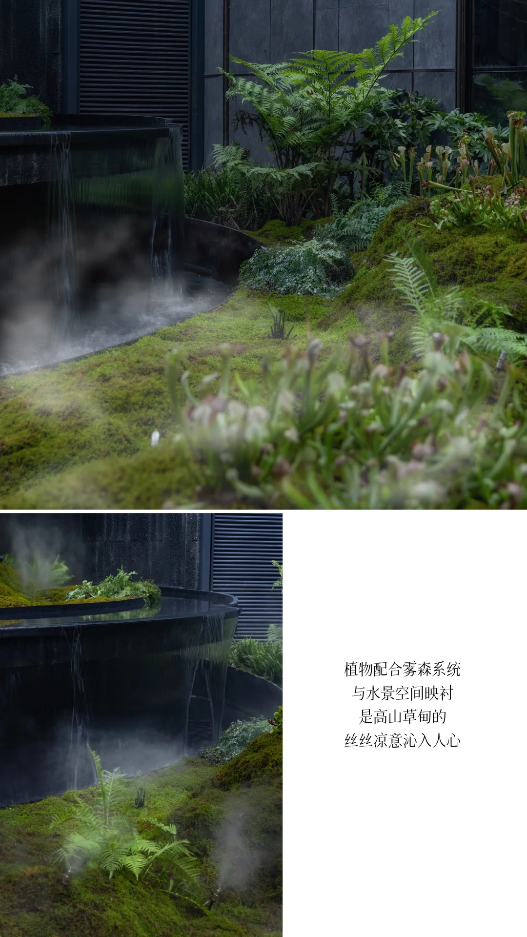 成都｜华润·华宸府景观拍摄（植物专篇）