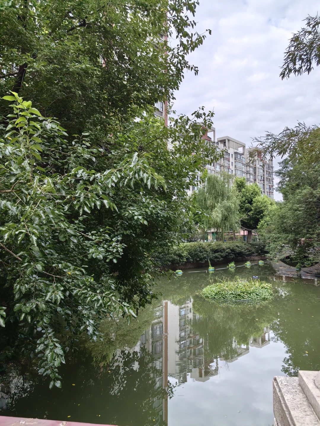 这个小区真的好好啊！🌳💚