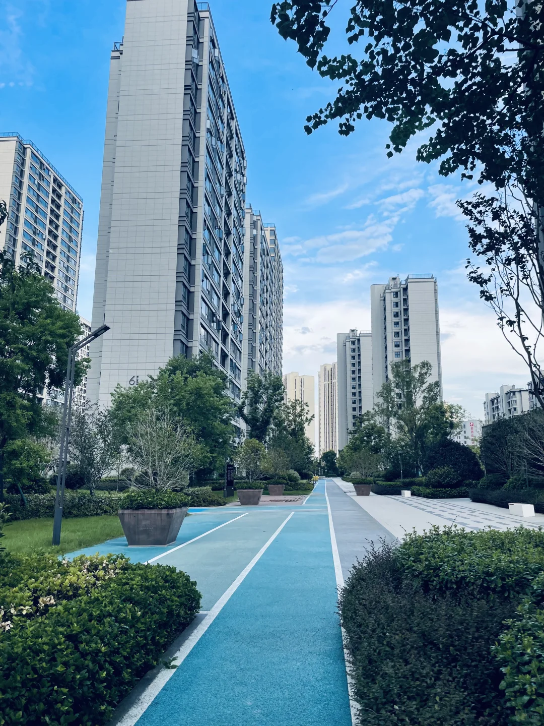 小区环境也太奈斯了吧