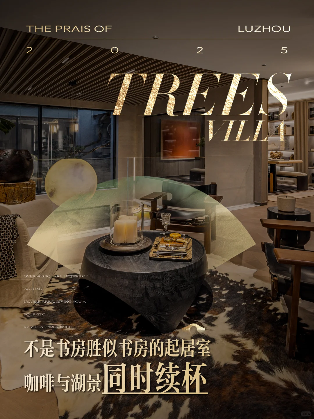 哇，合肥顶豪新卷王来了！！！