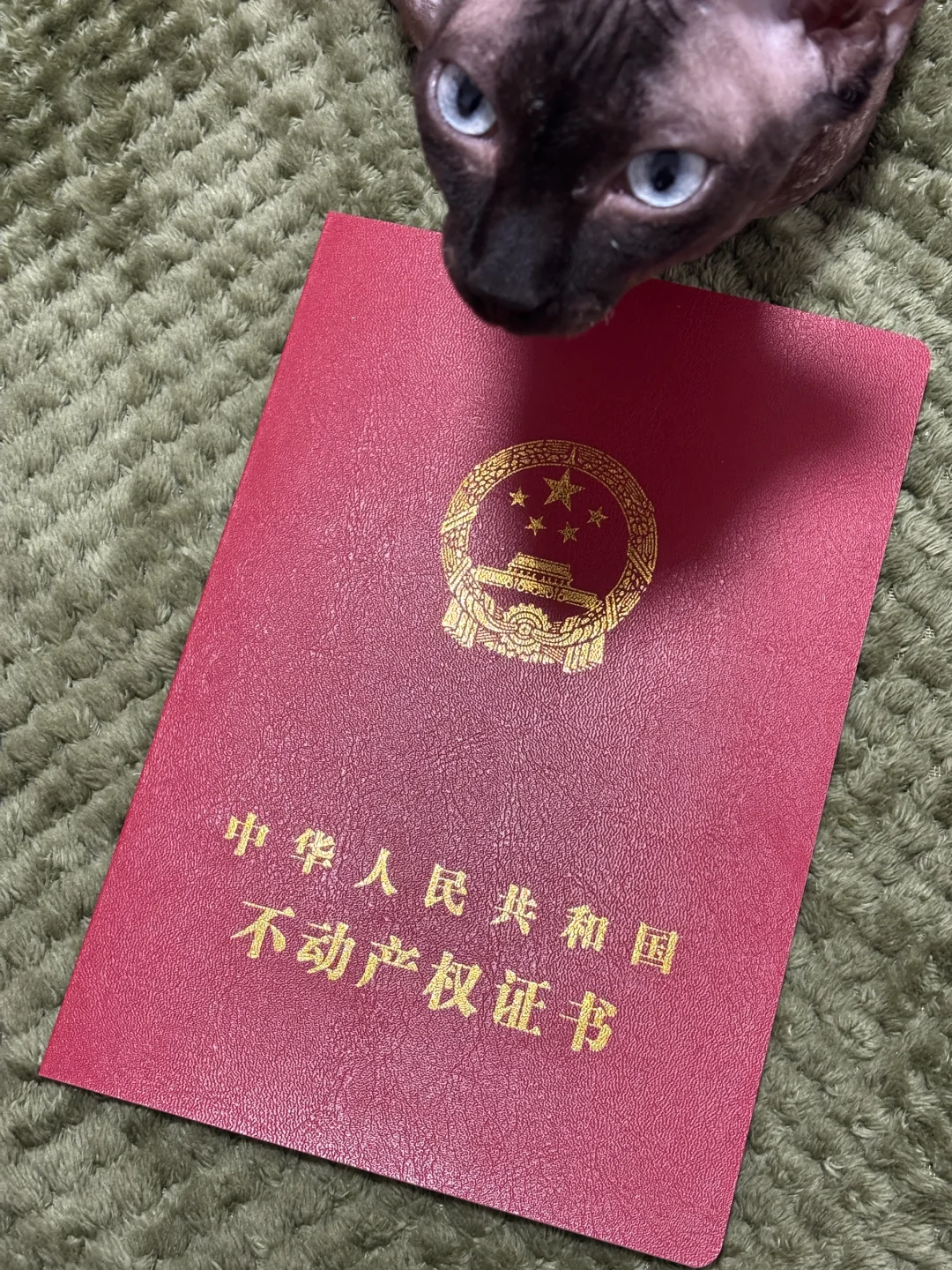 公寓房产证下来啦！！！