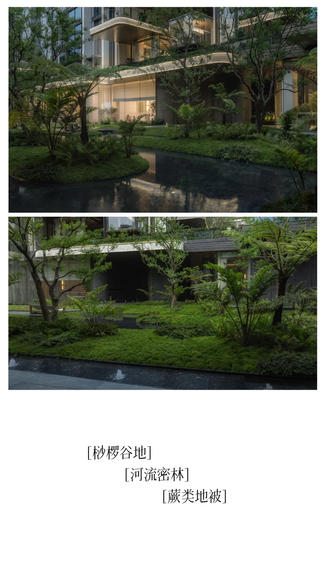 成都｜华润·华宸府景观拍摄（植物专篇）