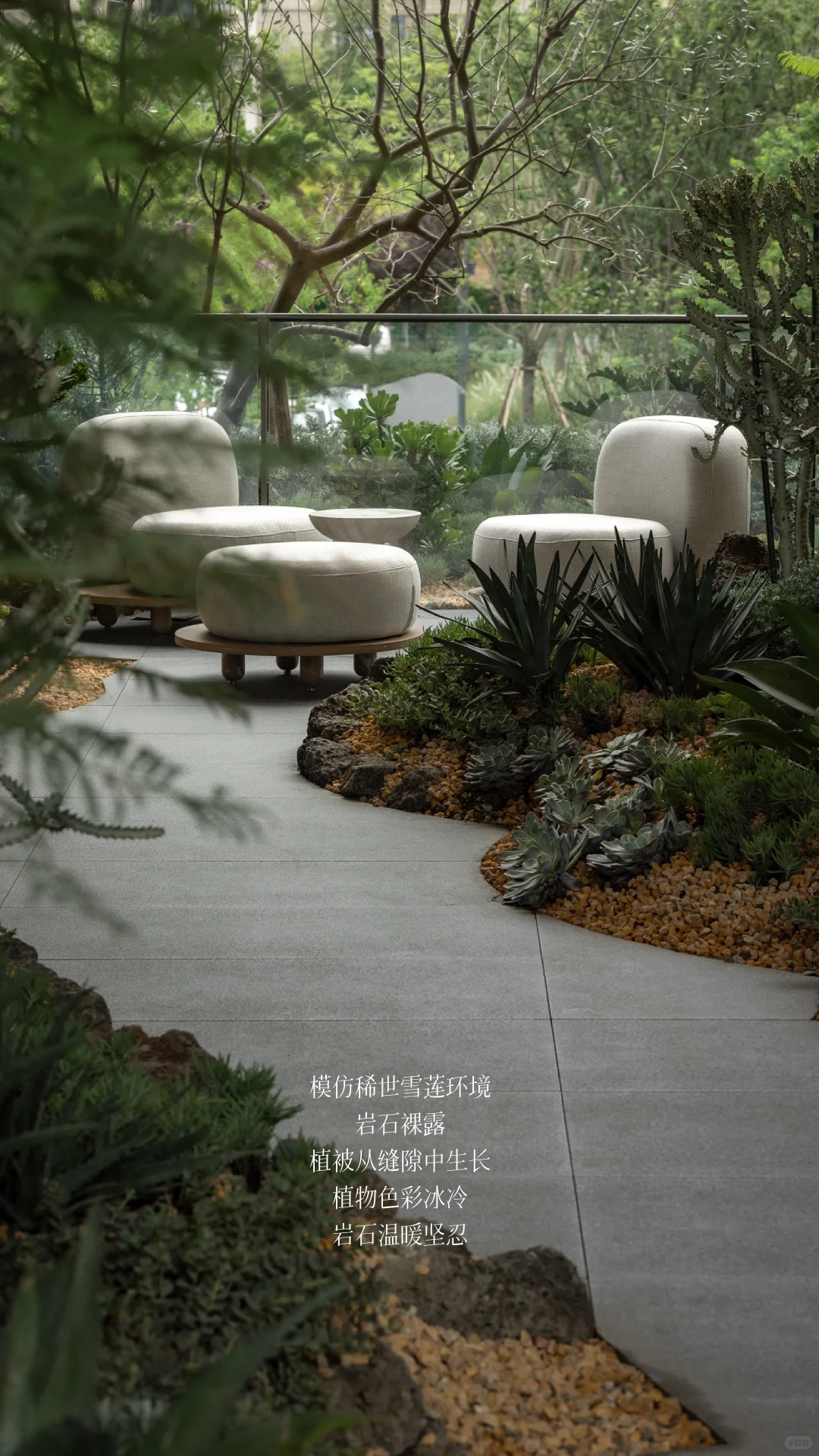 成都｜华润·华宸府景观拍摄（植物专篇）
