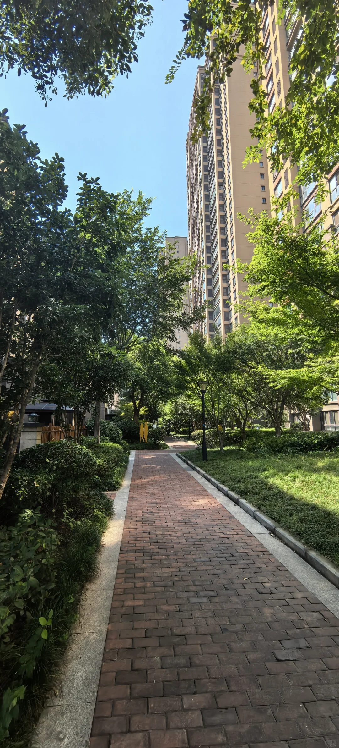 常州房价真的很奇怪29000疯抢9000时无人问