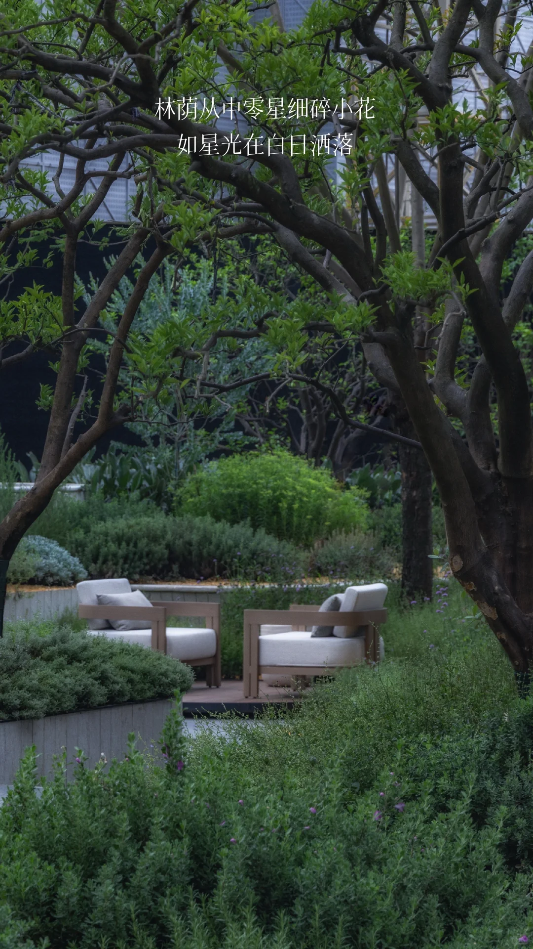 成都｜华润·华宸府景观拍摄（植物专篇）