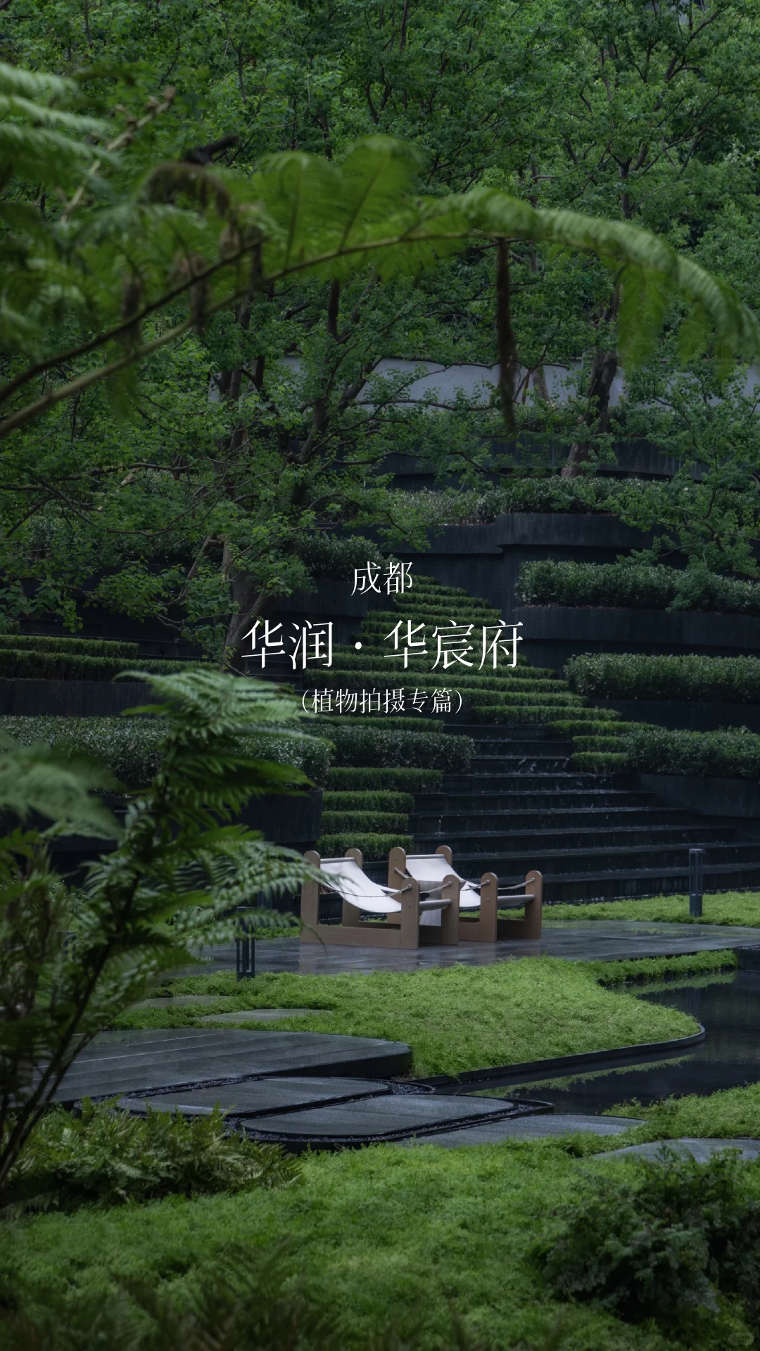 成都｜华润·华宸府景观拍摄（植物专篇）