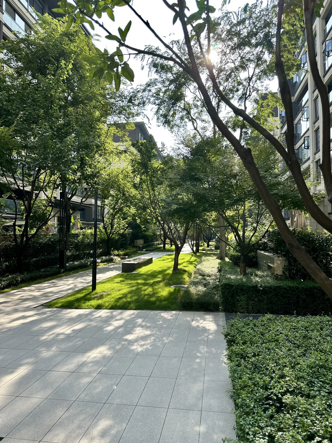 大学城🏡出国急售！183平直降60万还带树人🎒