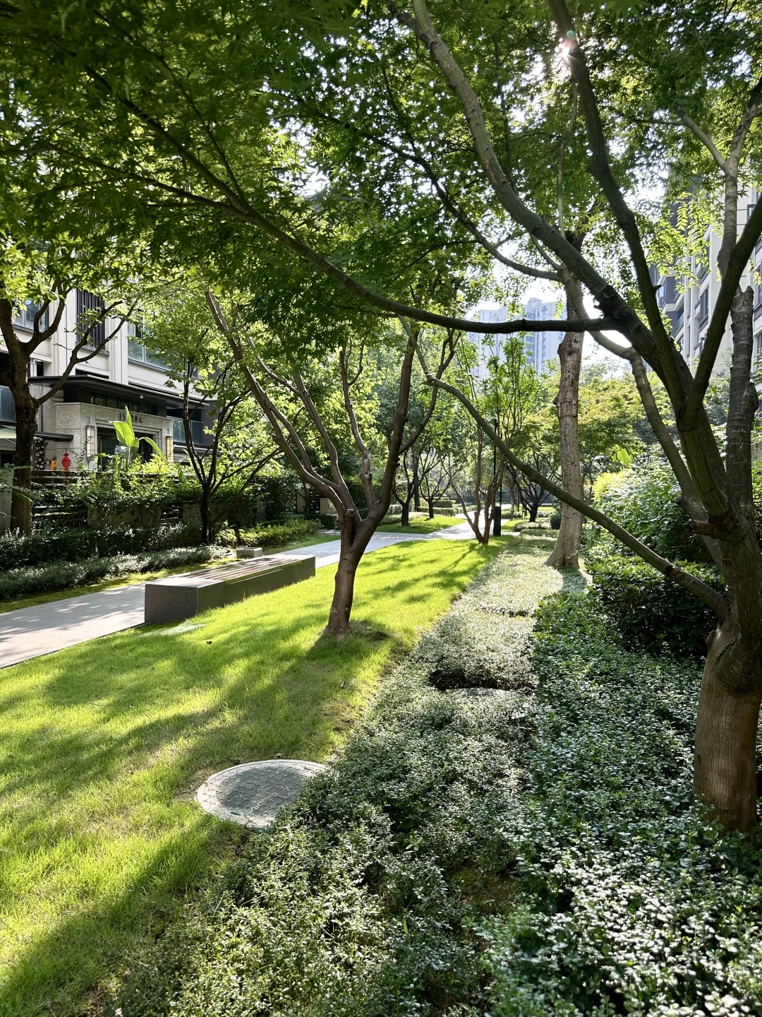 大学城🏡出国急售！183平直降60万还带树人🎒