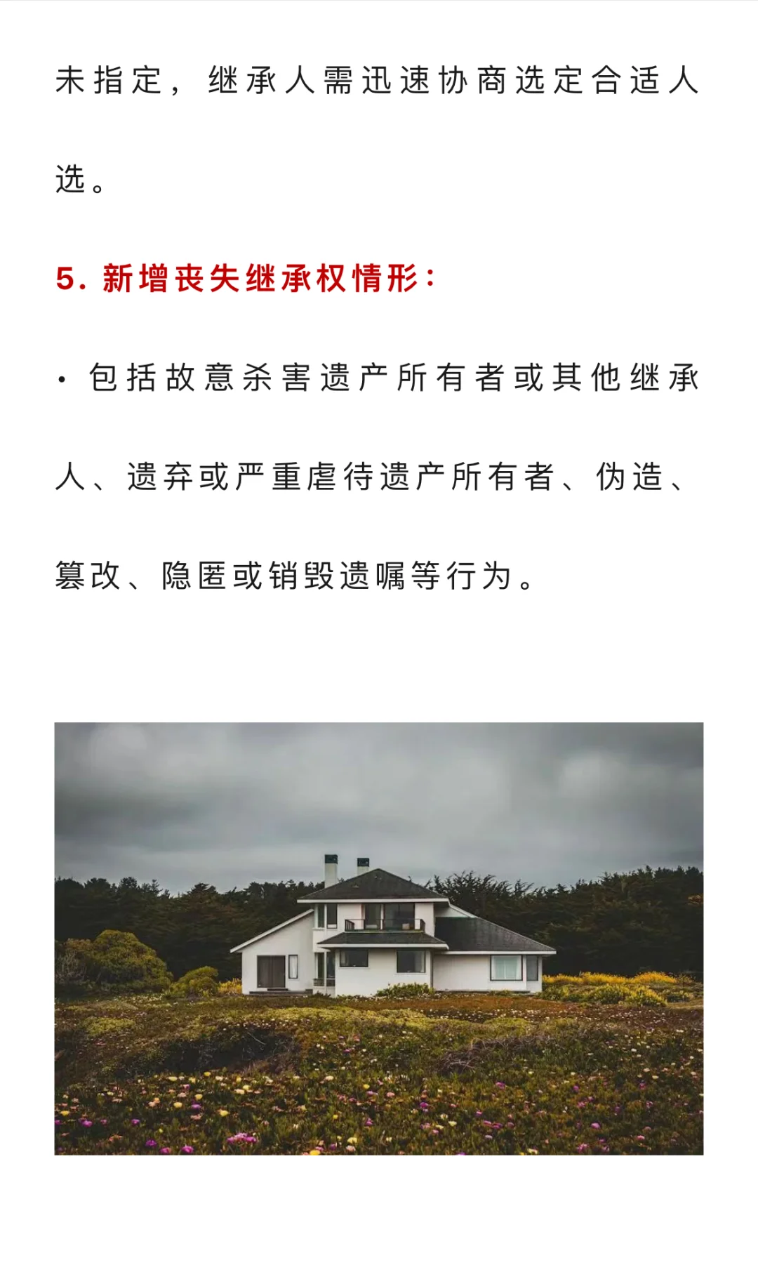 新政策出来了！继承权不要再争了！从2025年开