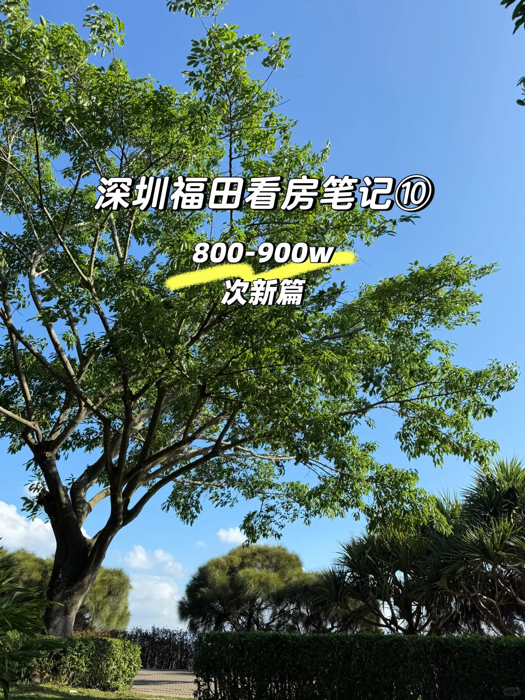 30 岁买房！福田 800-900w 次新日记篇⑩