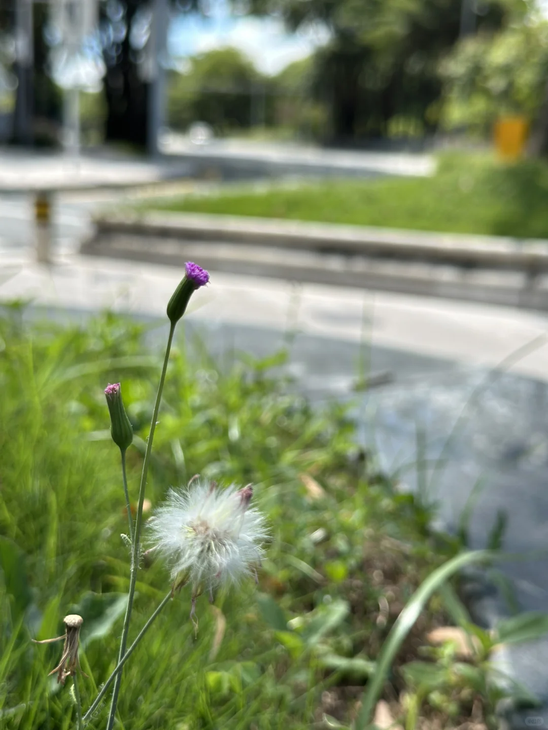 深圳有房子，可是掉价了，现在业主还顶得住吗