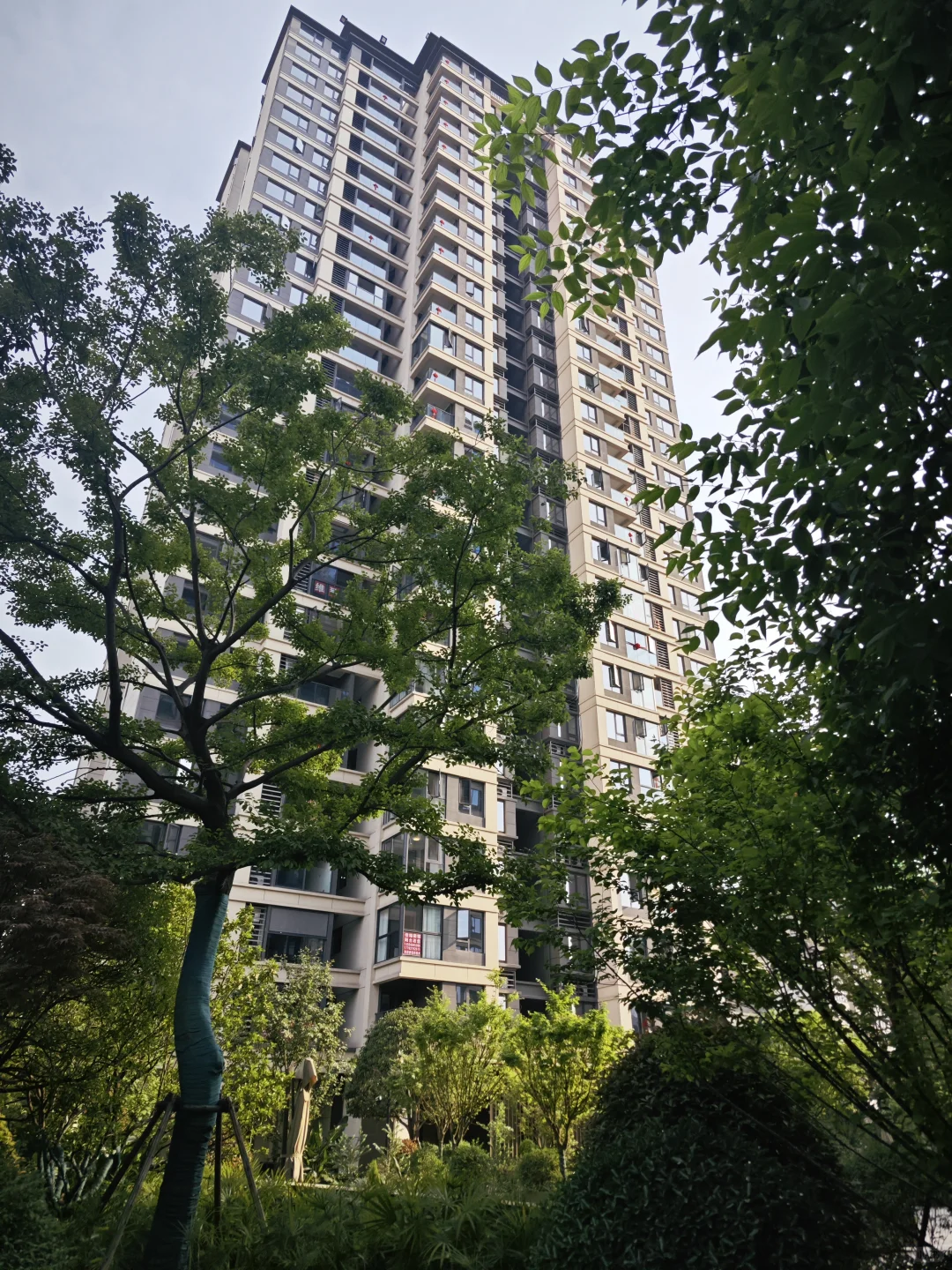 可恶！怎么没人告诉我住在he xin区这么爽！
