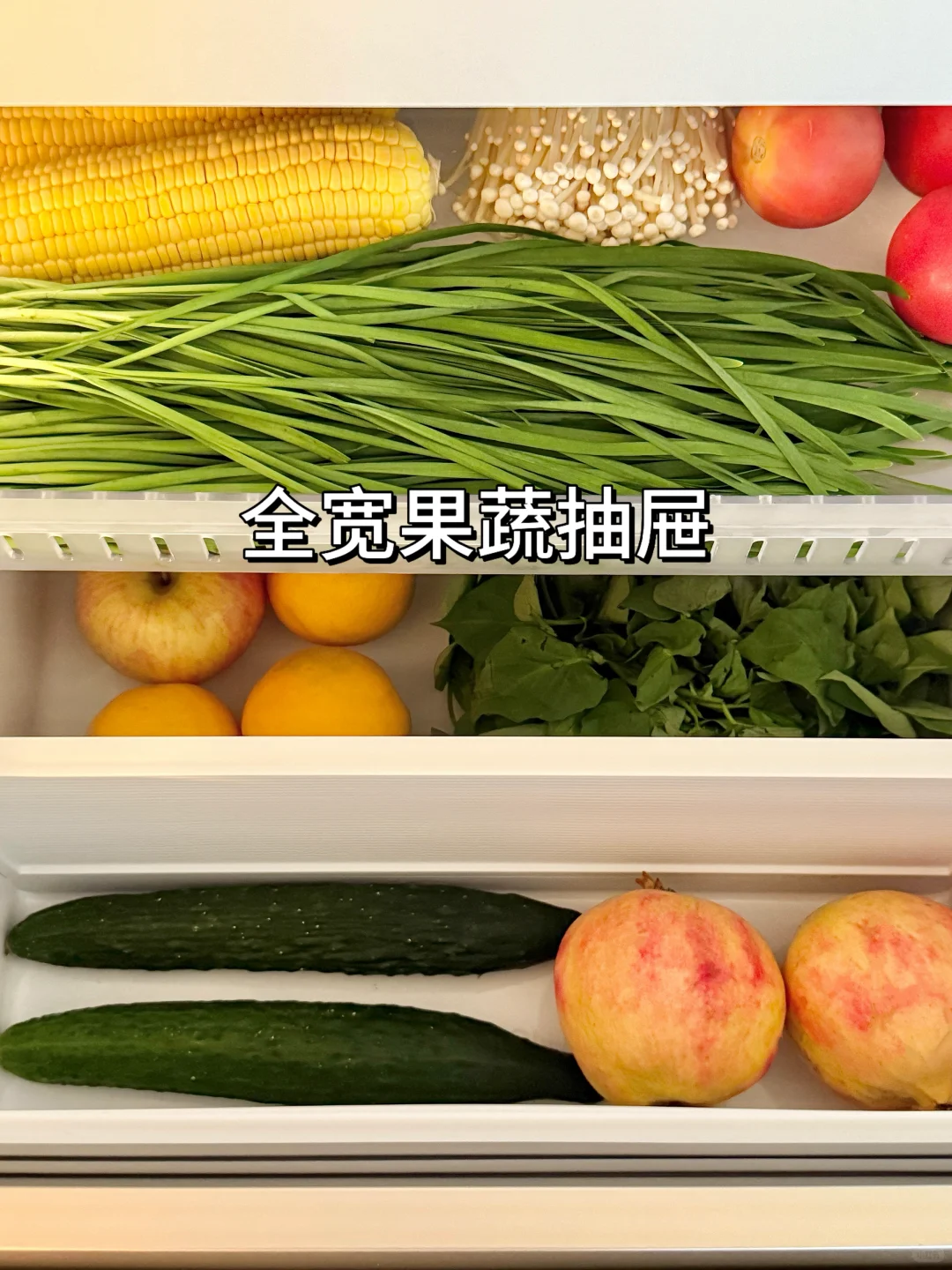 抄作业成功，恭喜我住进了梦中情房！👏