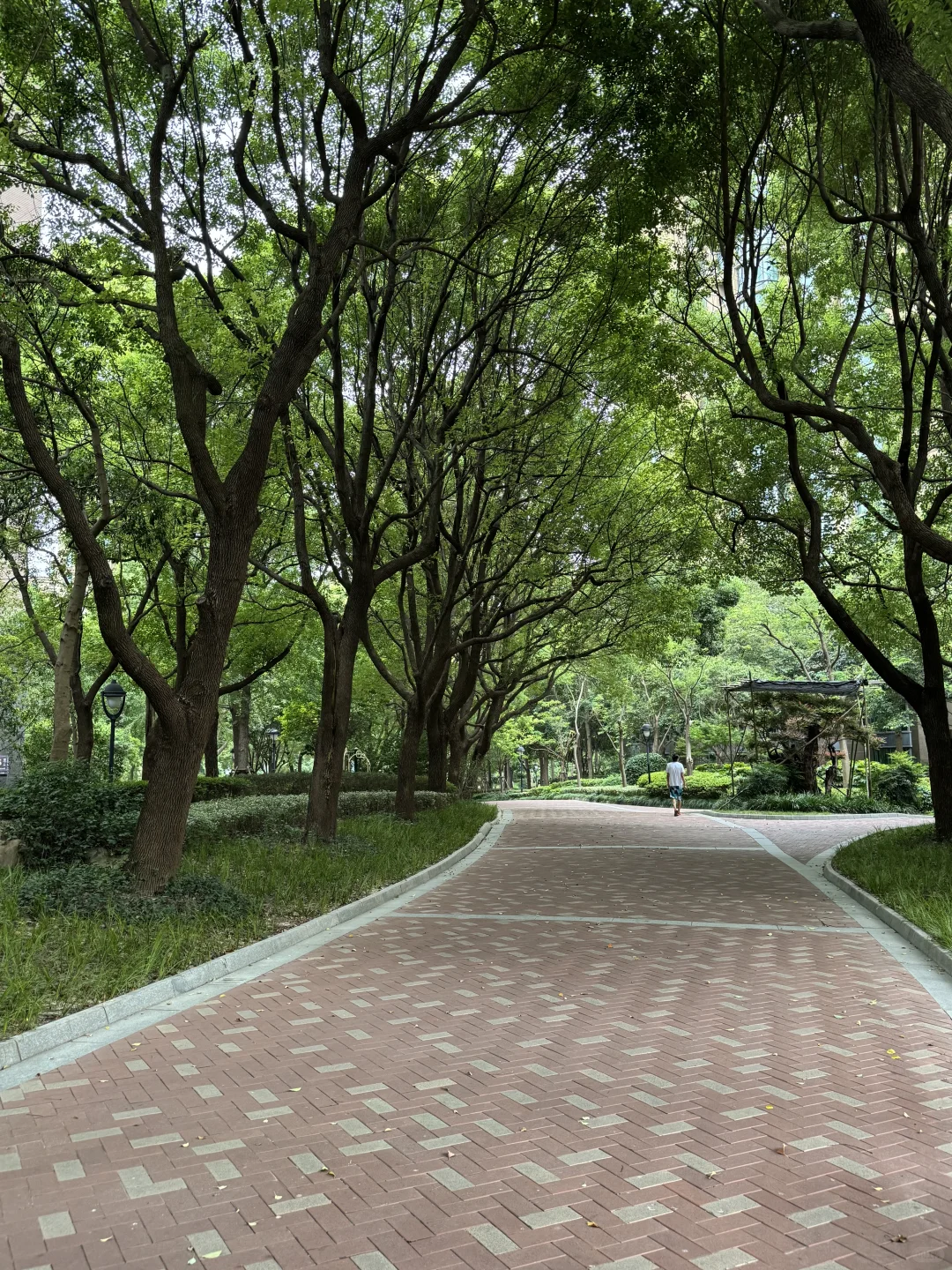 魔都学区房看房之浦东上海绿城