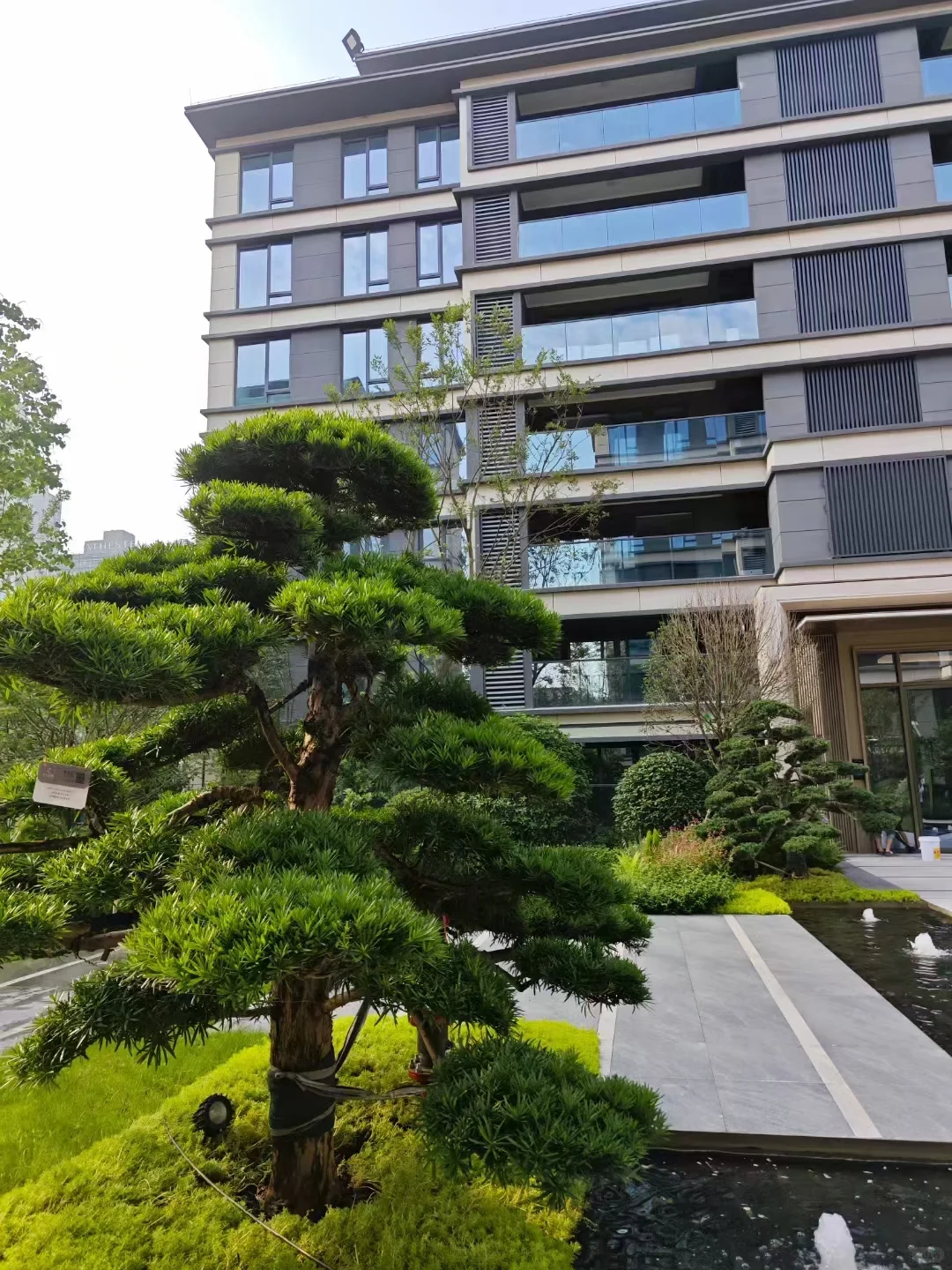 可恶！怎么没人告诉我住在he xin区这么爽！