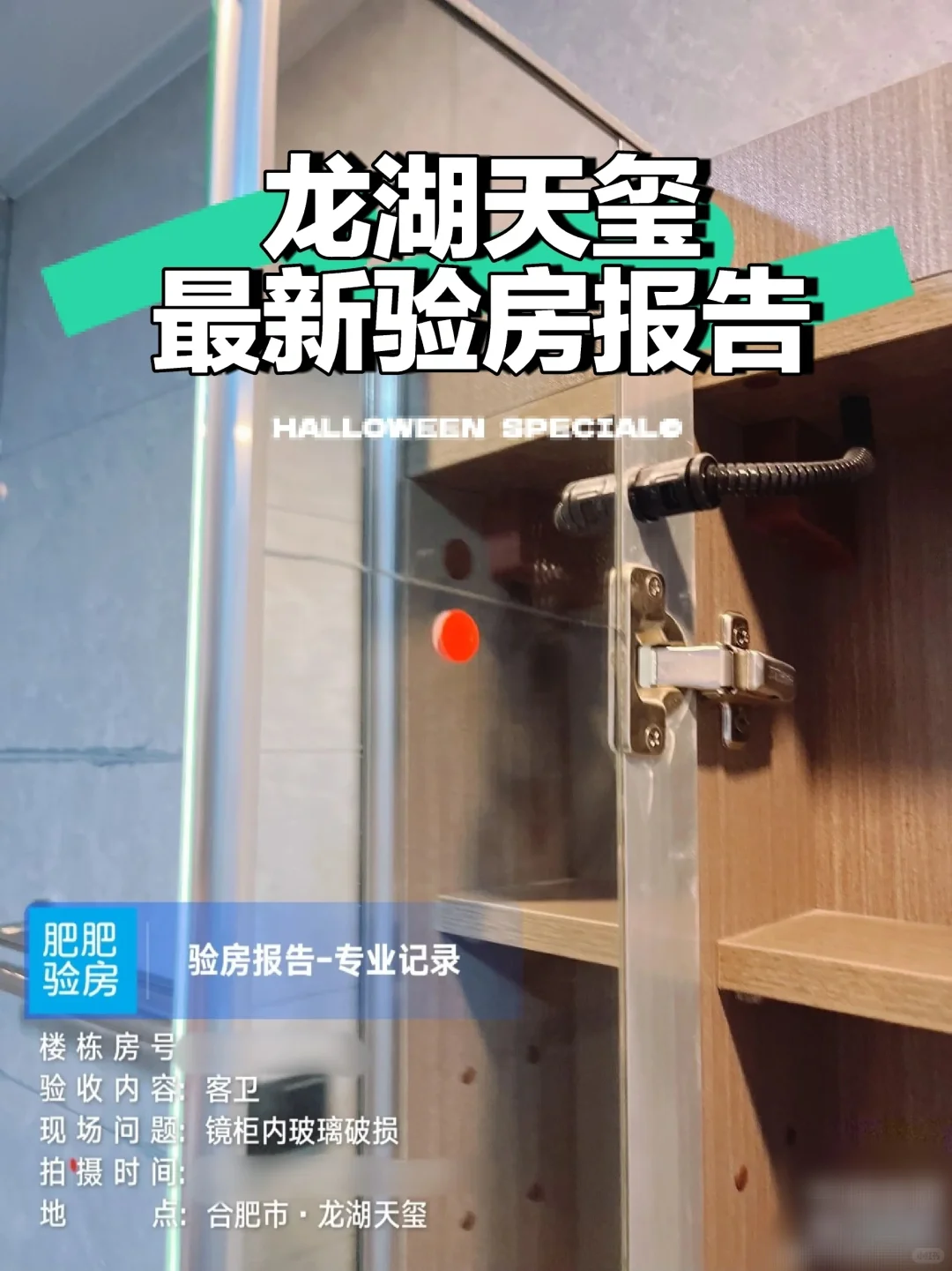 龙湖天玺验房报告