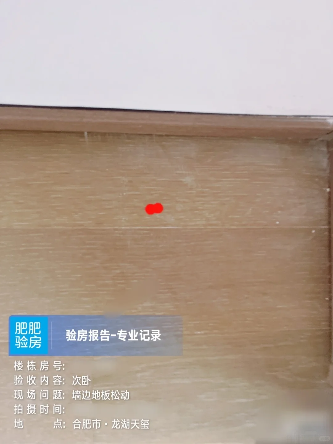龙湖天玺验房报告