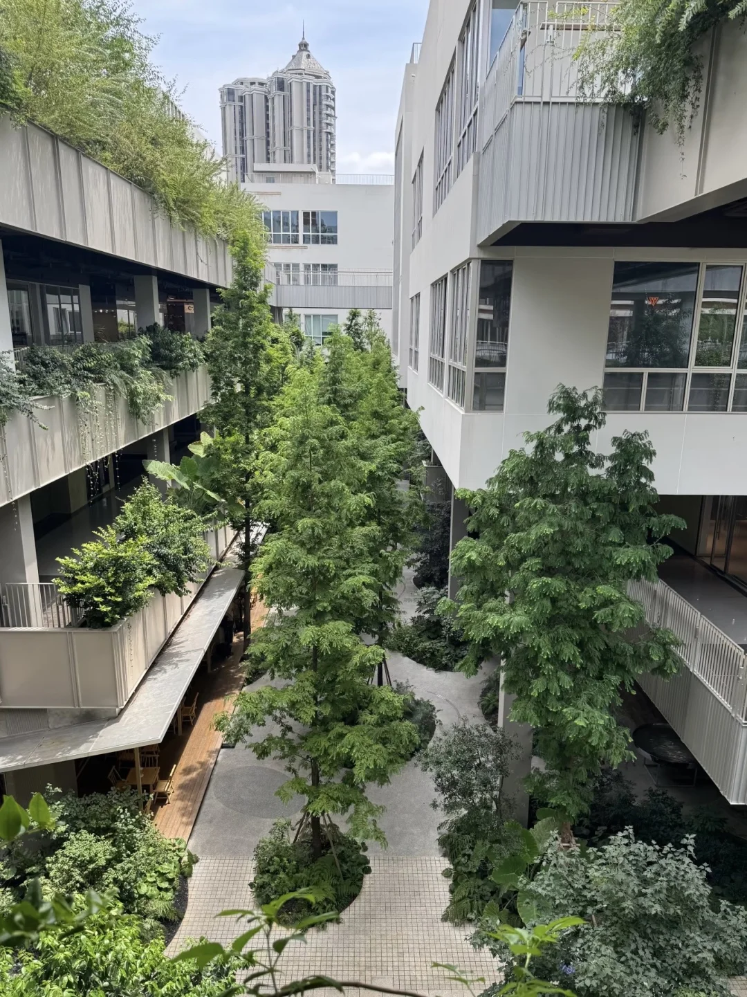 从商业地产到城市更新算转行吗？｜场1