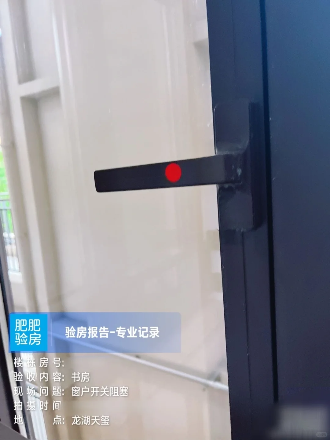 龙湖天玺验房报告