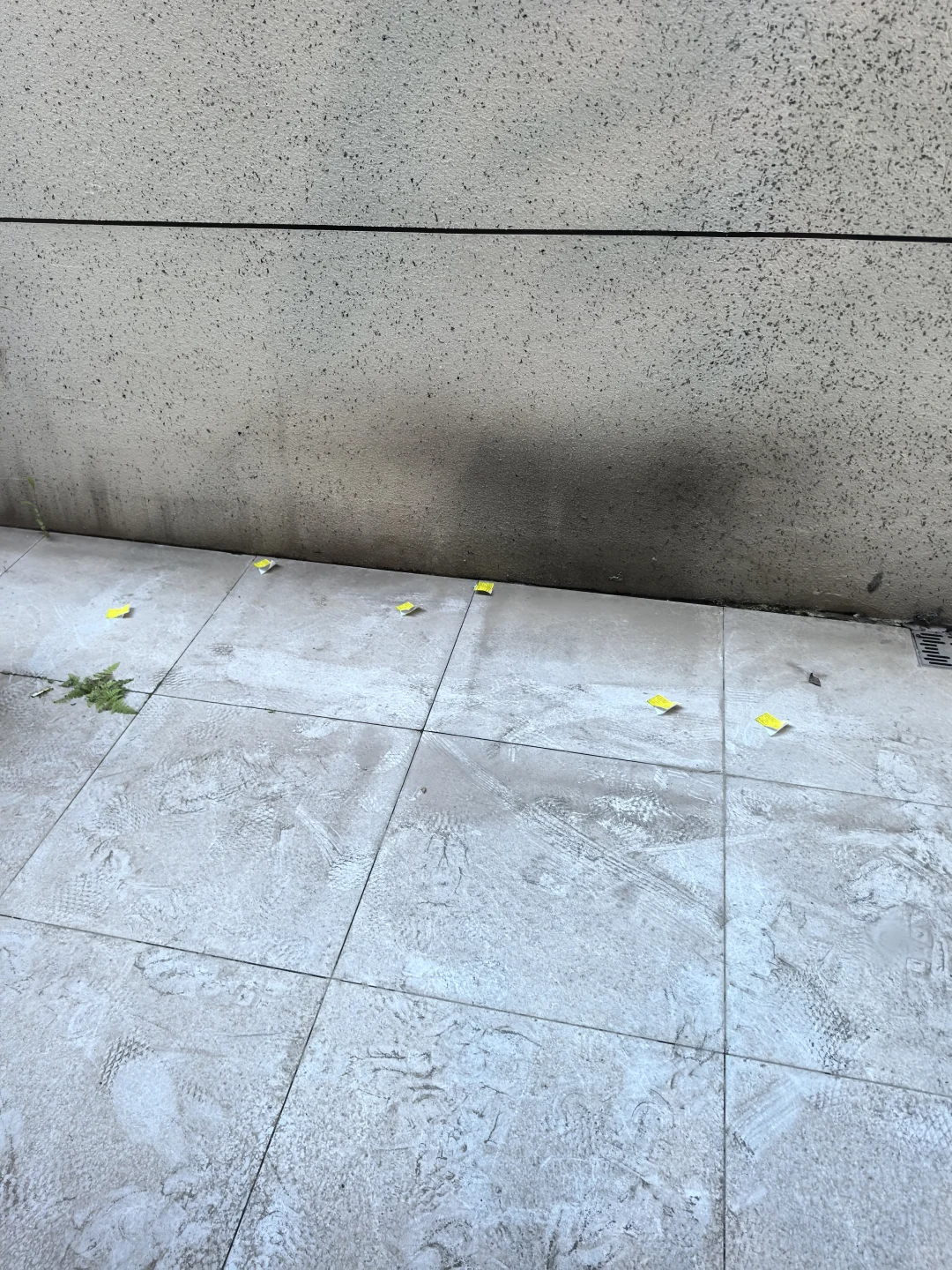 郭大侠 验房、强推