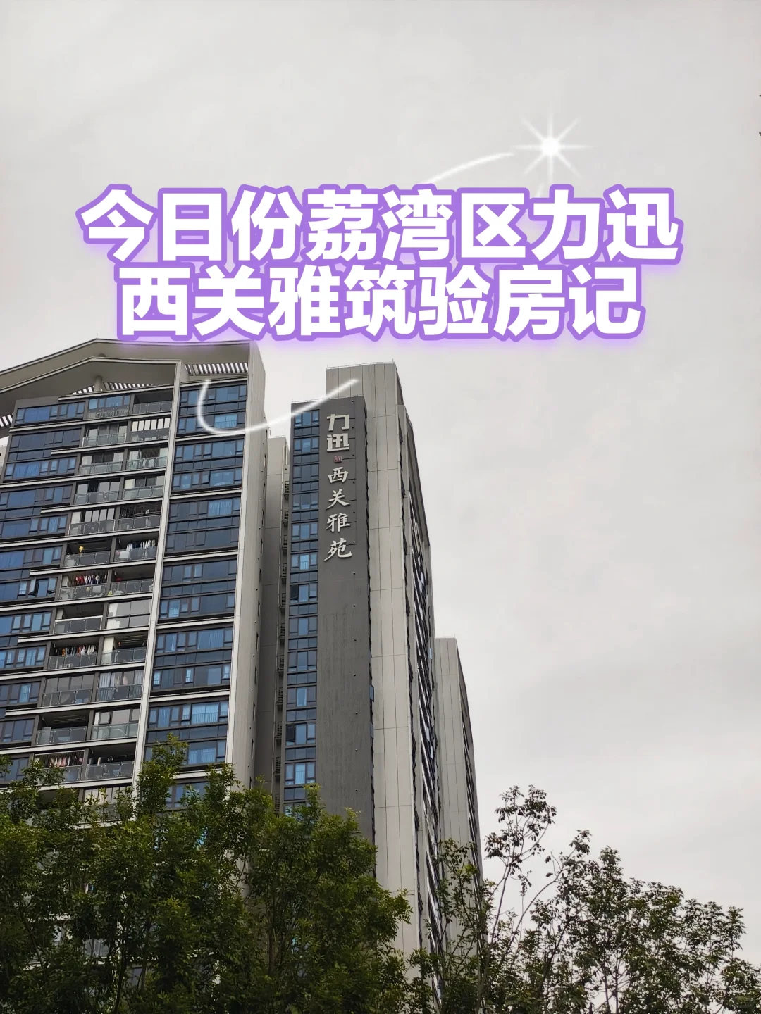 力迅西关雅筑验房，情况都有如下