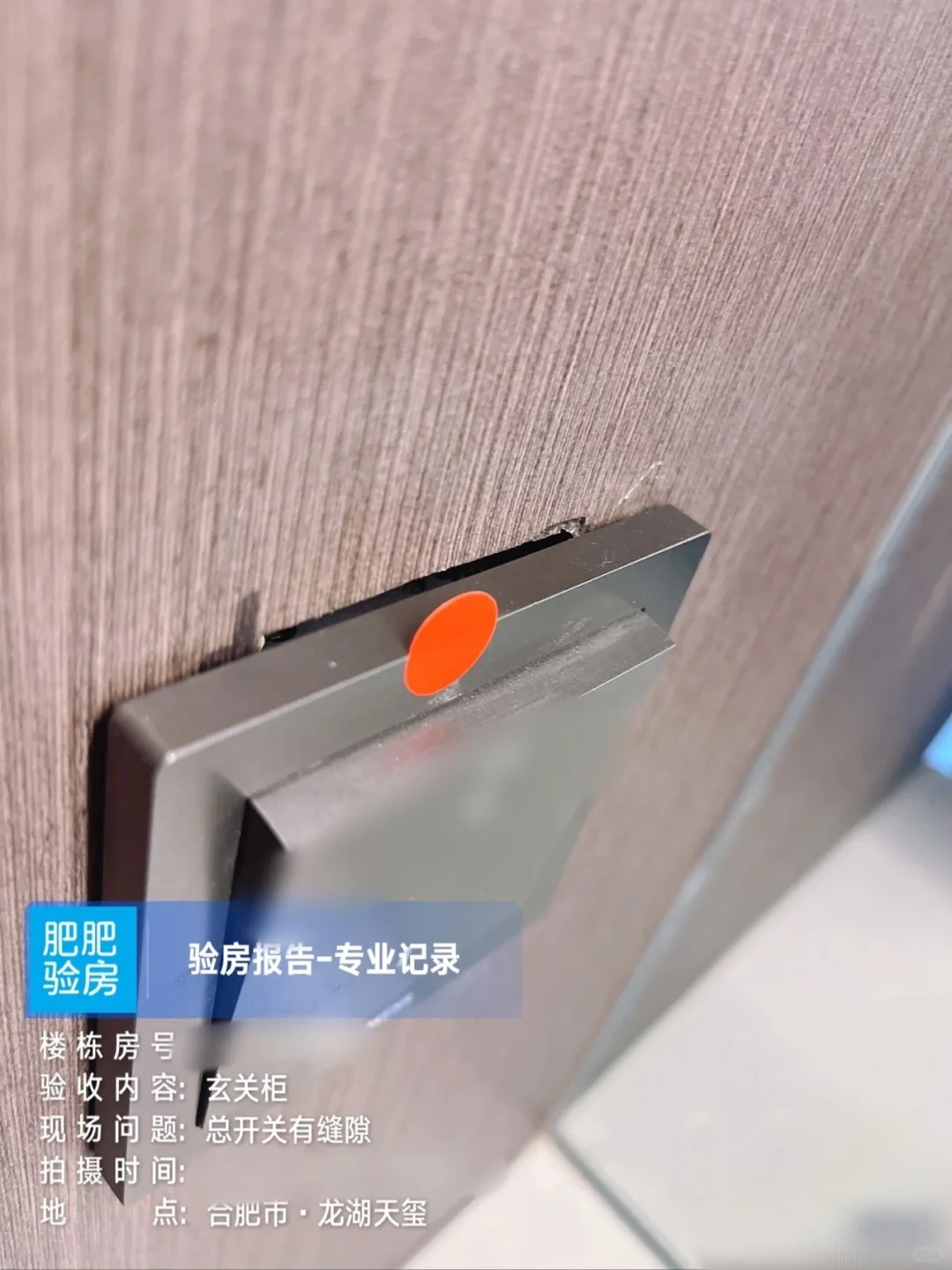 龙湖天玺验房报告