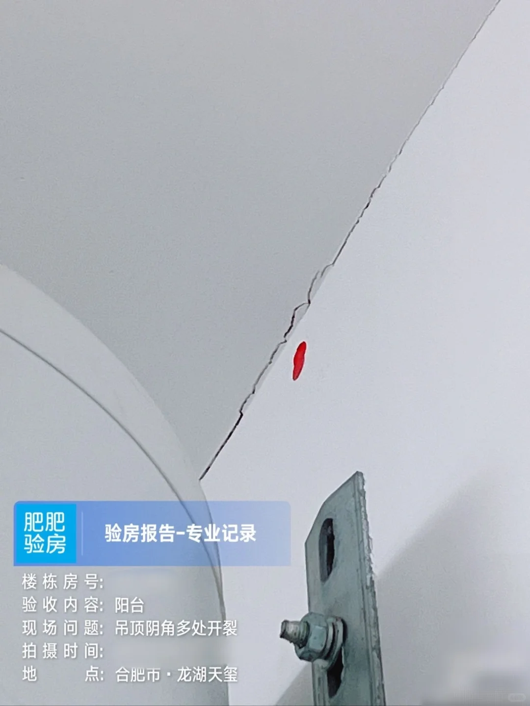 龙湖天玺验房报告