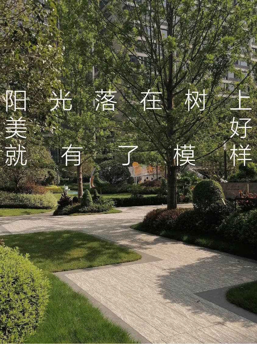 买房子不如买365天的好心情