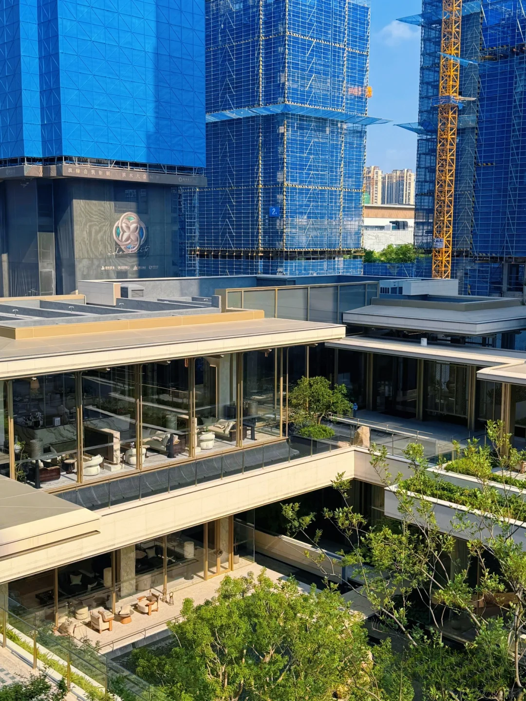 好房子弃选了，会后悔吗❓