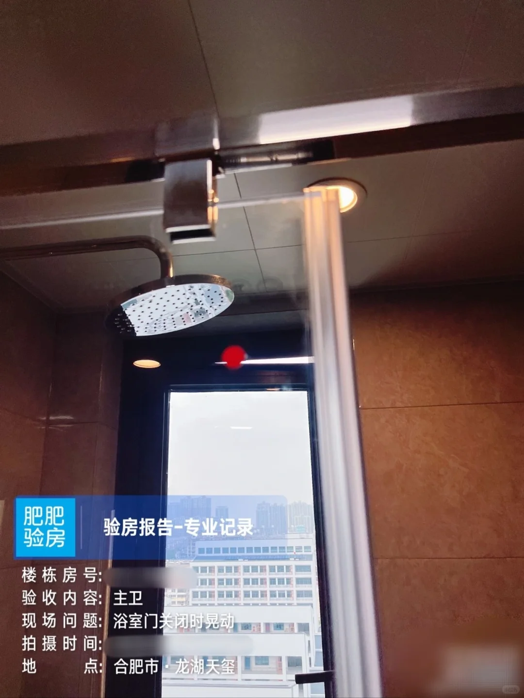 龙湖天玺验房报告